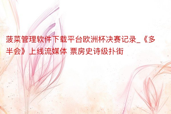 菠菜管理软件下载平台欧洲杯决赛记录_《多半会》上线流媒体 票