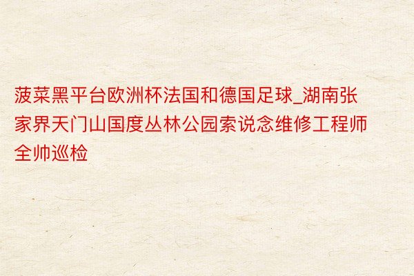 菠菜黑平台欧洲杯法国和德国足球_湖南张家界天门山国度丛林公园