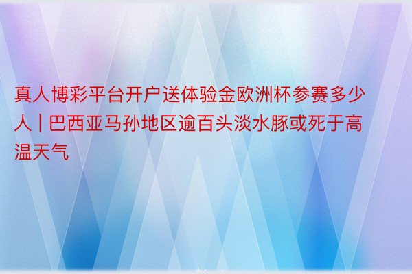真人博彩平台开户送体验金欧洲杯参赛多少人 | 巴西亚马孙地区